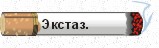 Экстаз верноподданности, или идеи чучхе на практике .
